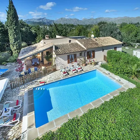 Owl Teo - Family And Friends Villa Pollença