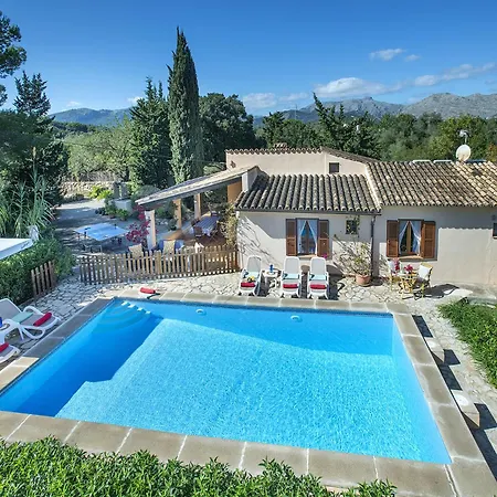 Owl Teo - Family And Friends