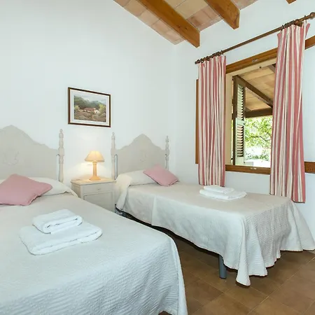 Owl Teo - Family And Friends Pollença