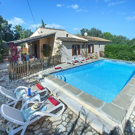 Owl Teo - Family And Friends Villa