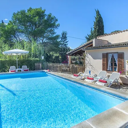 Owl Teo - Family And Friends *