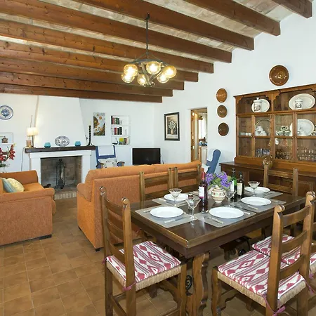 Owl Teo - Family And Friends Villa