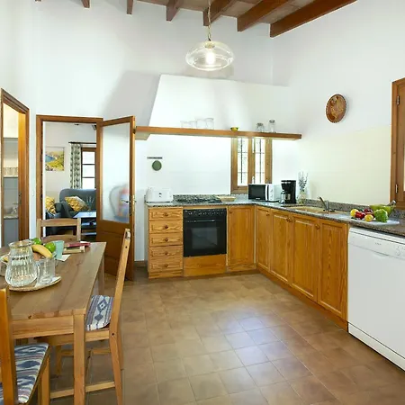 Owl Teo - Family And Friends Villa