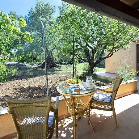 Owl Teo - Family And Friends Villa *