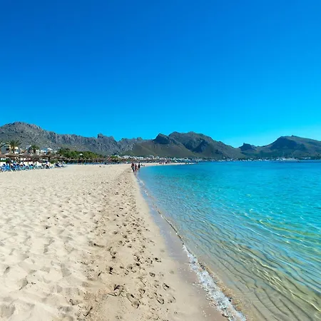 Owl Teo - Family And Friends Villa Pollença