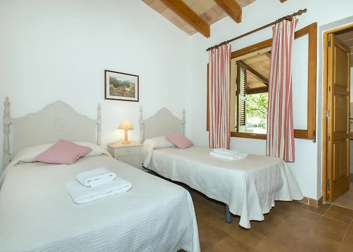 Owl Teo - Family And Friends ポレンサ