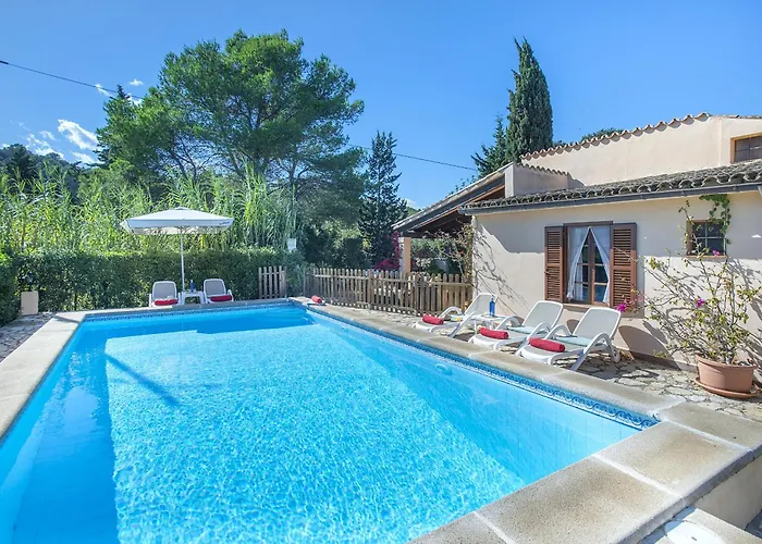 Owl Teo - Family And Friends *