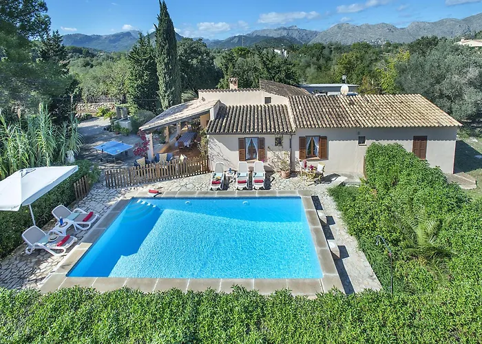 Owl Teo - Family And Friends * ポレンサ