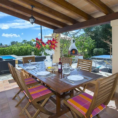 Owl Teo - Family And Friends * Pollenca