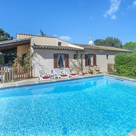 Owl Teo - Family And Friends * Pollensa