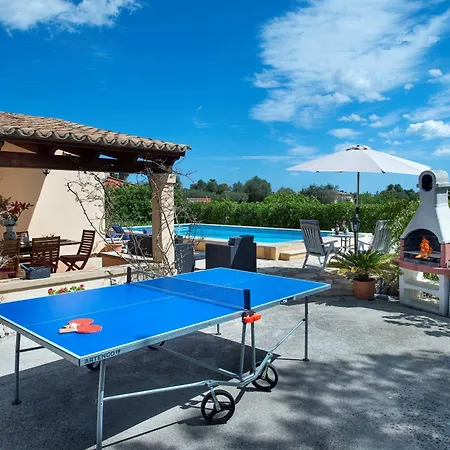 Owl Teo - Family And Friends Pollenca