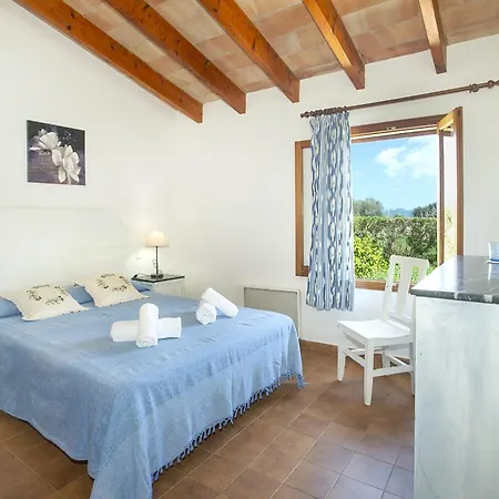 Owl Teo - Family And Friends Villa Pollenca