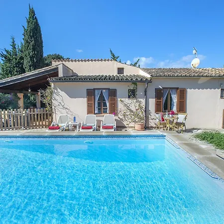 Owl Teo - Family And Friends Villa