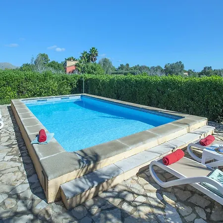 Owl Teo - Family And Friends *