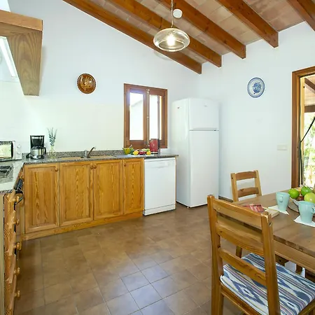 Owl Teo - Family And Friends * Pollensa