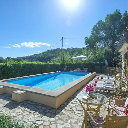 Owl Teo - Family And Friends * Pollenca