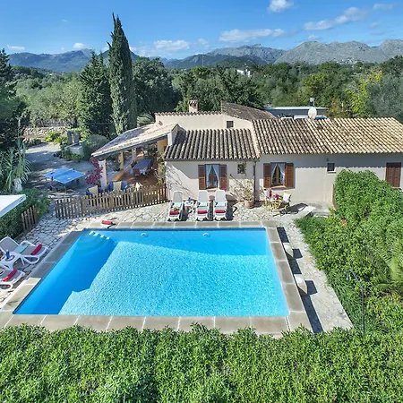 Owl Teo - Family And Friends * Pollensa