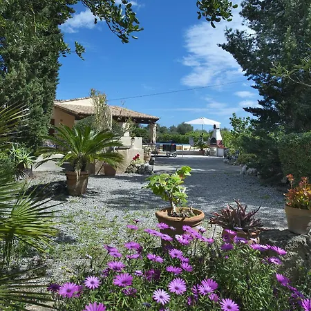 Owl Teo - Family And Friends Villa