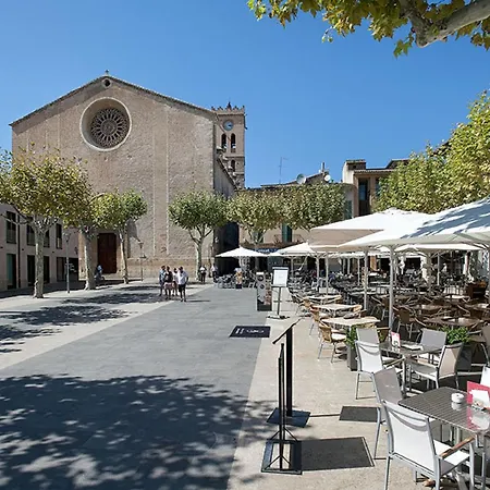 Owl Teo - Family And Friends * Pollenca