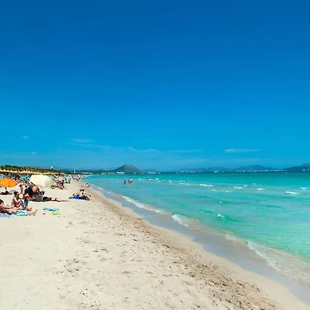 Owl Teo - Family And Friends * Pollenca