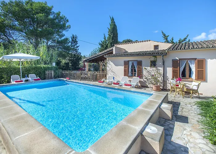 Owl Teo - Family And Friends Willa *