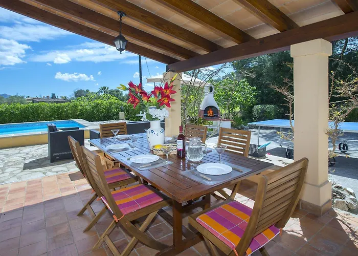 Owl Teo - Family And Friends * Pollensa