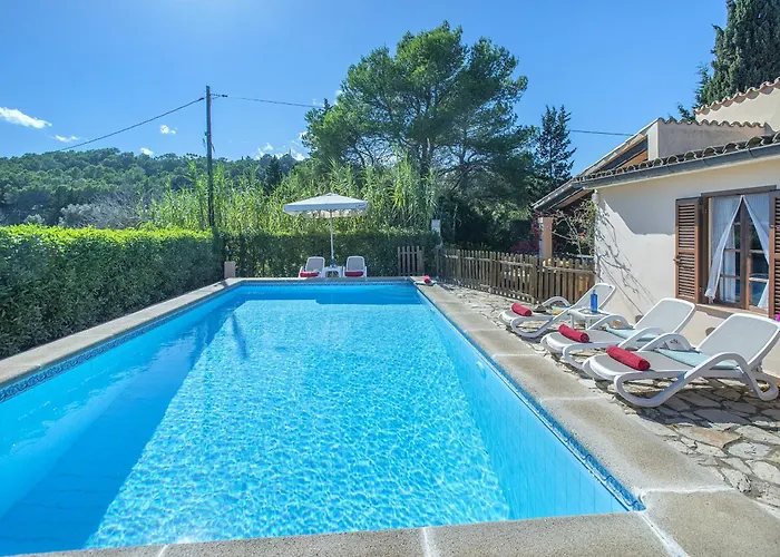 Willa Owl Teo - Family And Friends *