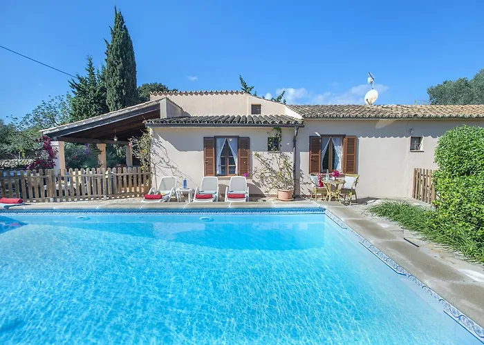 Owl Teo - Family And Friends Willa