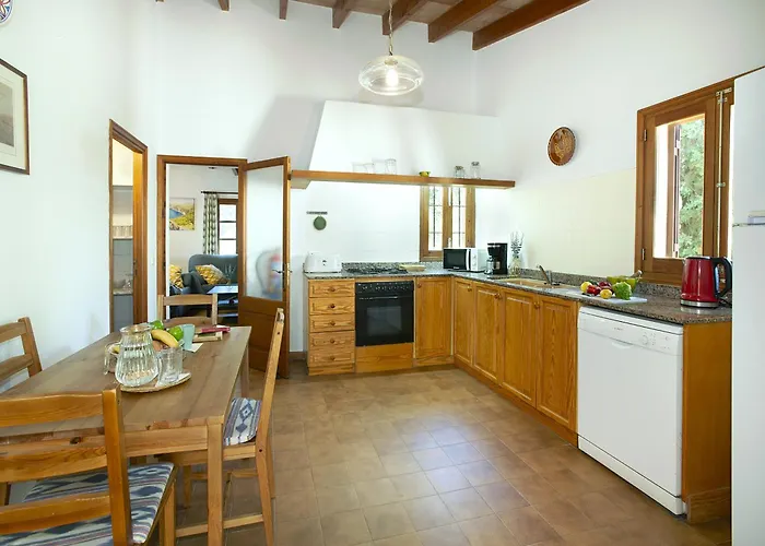 Owl Teo - Family And Friends Willa