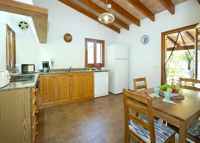 Owl Teo - Family And Friends * Pollensa