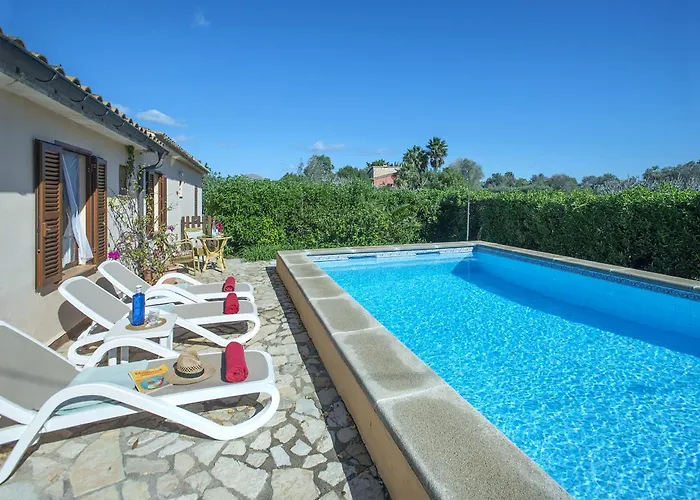 Owl Teo - Family And Friends Willa *