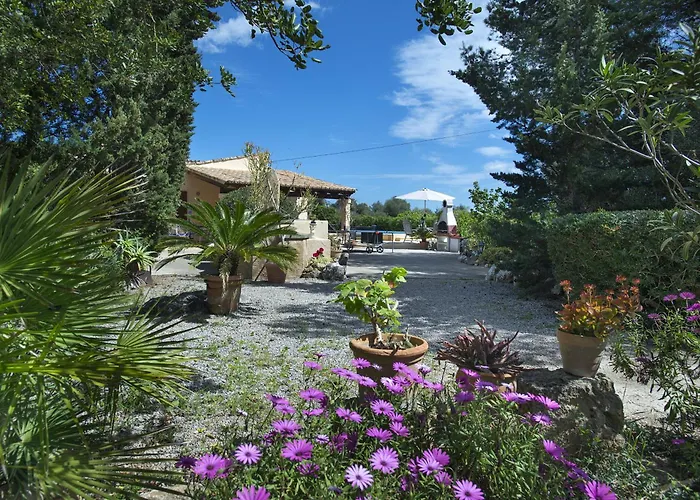 Owl Teo - Family And Friends Willa