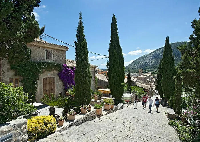 Willa Owl Teo - Family And Friends