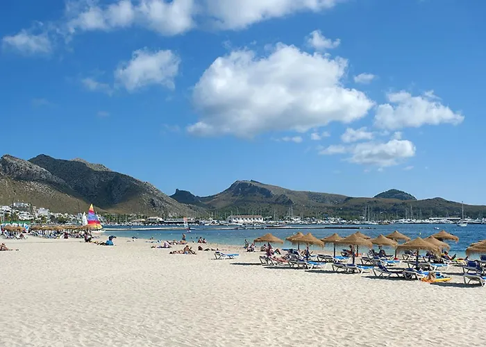 Willa Owl Teo - Family And Friends