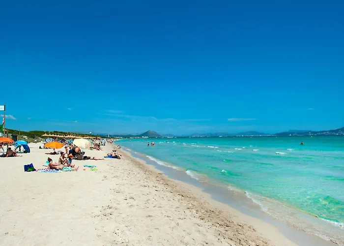 Owl Teo - Family And Friends * Pollensa