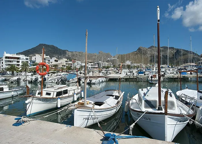 Willa Owl Teo - Family And Friends *