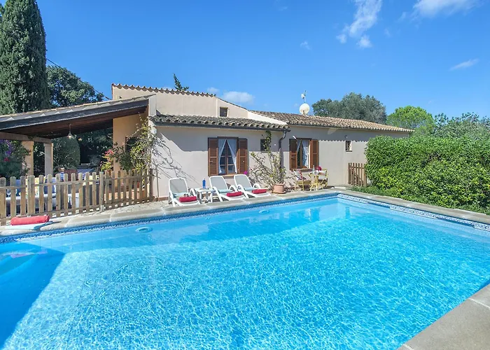 Owl Teo - Family And Friends * Pollença