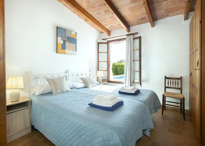 Owl Teo - Family And Friends *