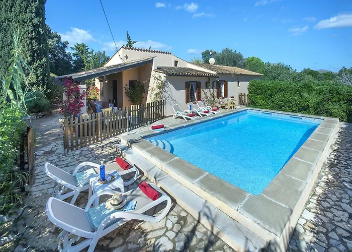 Owl Teo - Family And Friends Villa